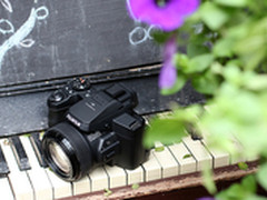 远攻近守 全能帅机富士S1色彩样片集