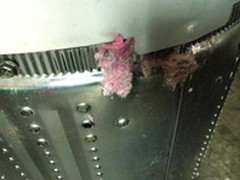 俩月用一次 洗衣机照样“藏污纳垢”