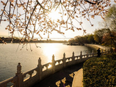 初夏光景 富士E2小试牛刀