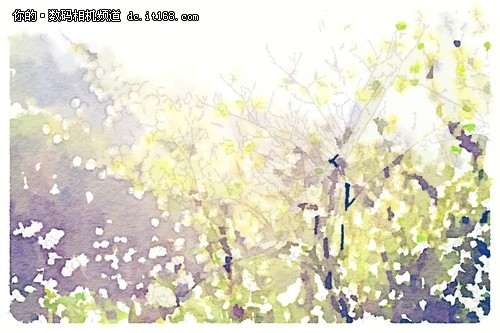 Waterlogue：拍的好不如画得好