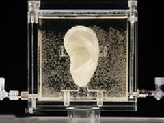 3D打印技术热讯：复活艺术家梵高的耳朵
