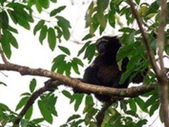 希捷助力2014中国野生动物摄影训练营