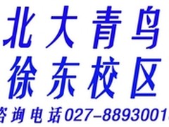 武汉北大青鸟： 全民学IT 免费VIP