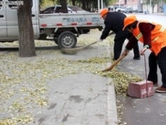 德国凯驰清扫车KM70/20C小区树叶扫地机