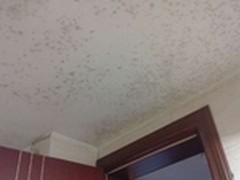 三菱家用除湿机MJ-E140AF-C 房屋除潮