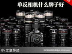 解决新手疑难杂症 单反相机什么牌子好