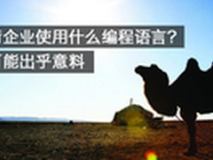 华尔街企业都使用什么编程语言？