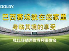 看环绕声世界杯 足不出户感受赛场魅力