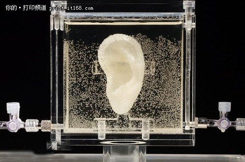 3D打印技术热讯：复活艺术家梵高的耳朵