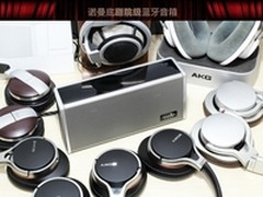 艾特铭客诺曼底绝美中频 人声效果测试