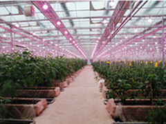 物联网给农民带来了啥?