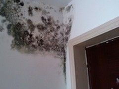 家用防潮除湿 三菱除湿机MJ-E140AF-C