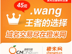 .wang域名 王者气质平民价格仅需45元