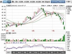 解析乐视为何成为广电总局整顿对象