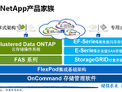 NetApp新财年：深耕闪存 FAS日臻完善