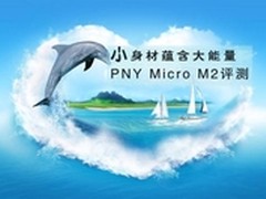 小身材蕴含大能量 PNY Micro M2评测