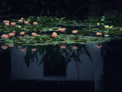 如何用G1 X Mark II拍摄荷塘月色