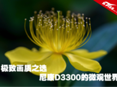 极致画质之选 尼康D3300的微观世界