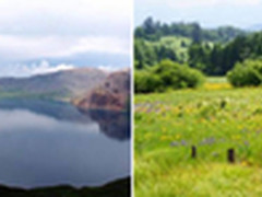 戴尔的2014中国棋局：区域与行业两手抓