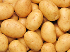 新型3D打印材料 土豆皮形成生物聚合物