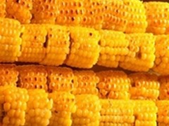 美味食谱量身定制——韩国现代空气炸锅
