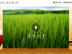 360初涉食品安全获成功 口碑销量双丰收