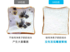 入秋冰箱最优选 夏普让你“净”享新鲜