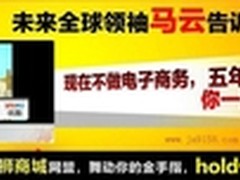 京狮商城未来 电子商务发展的方向