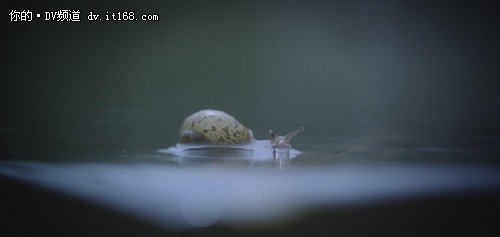 最美的季节—用佳能C100拍摄电影感画面