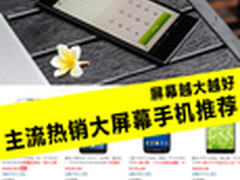 屏幕越大越好 主流热销大屏幕手机推荐