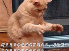 三星高端电芯 海陆通Y618时尚移动电源