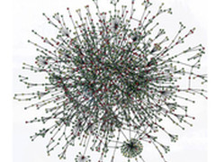 见证未来：你的网络是怎样的？