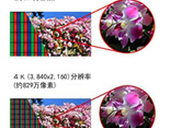 世界杯持续催热4K，夏普接厉重磅出击