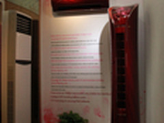 格力“玫瑰”空调惊艳 内外兼修新典范