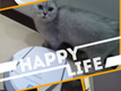 是小长工还是小玩伴 科沃斯地宝告诉您