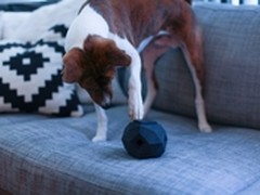 3D打印狗狗的玩具趣味来袭