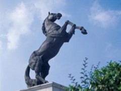 黑马奔腾 帅康汇聚创新力量