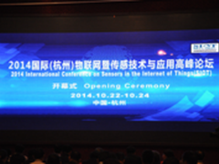 大数据助力 物联网插上腾飞翅膀