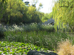 清华校园谈影音 中国智能影音论坛举行