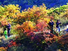 秋游最佳拍照伴侣aigo移动电源