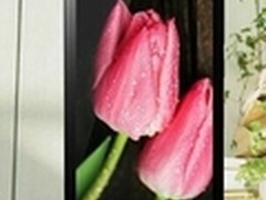爆款促销 红米1S（移动4G）特价740元