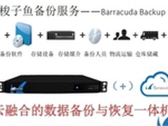 三年业绩翻三番 梭子鱼进军备份一体机