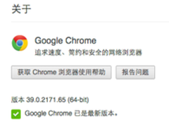 Google Chrome 39.0.2171.65 正式发布