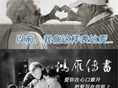 武汉长城宽带教你光棍节如何脱单