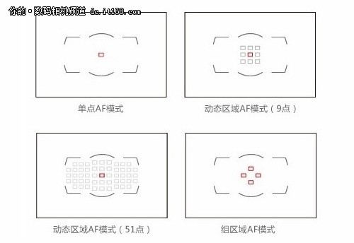 51点优异对焦系统 尼康D750对焦解析