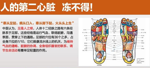 国美在线团购特价 艾美特暖脚器售145元-IT168 数码专区