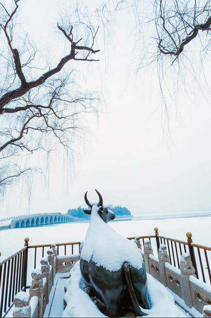 冬日来临，三招教你快速学会拍雪景