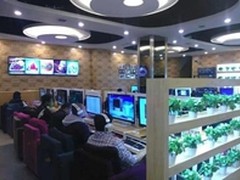 西伯利亚X7网吧游戏耳机入驻哈尔滨网咖