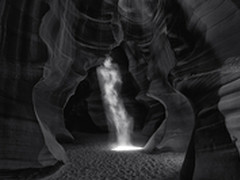 澳摄影师650万美元照片登顶最贵照片榜