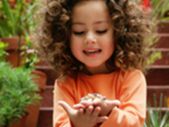 2014年三季度视频应用：移动化、高清化